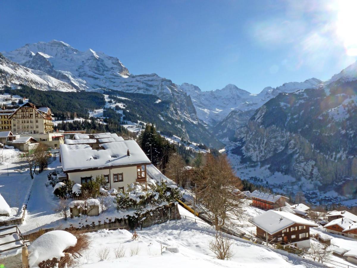 Apartment Panoramapark Soleil Haus D Apt 3 By Interhome Wengen Exteriör bild