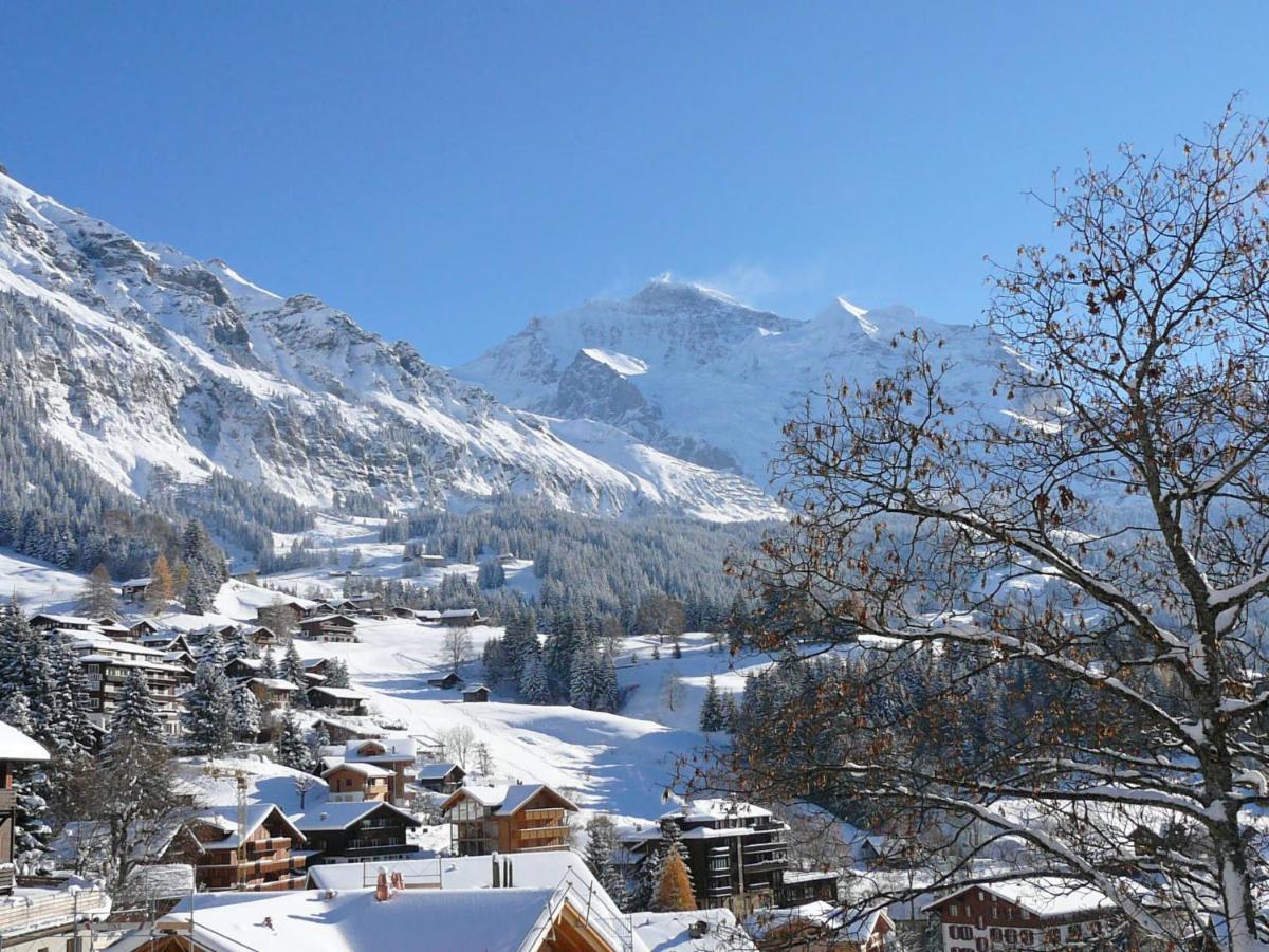 Apartment Panoramapark Soleil Haus D Apt 3 By Interhome Wengen Exteriör bild