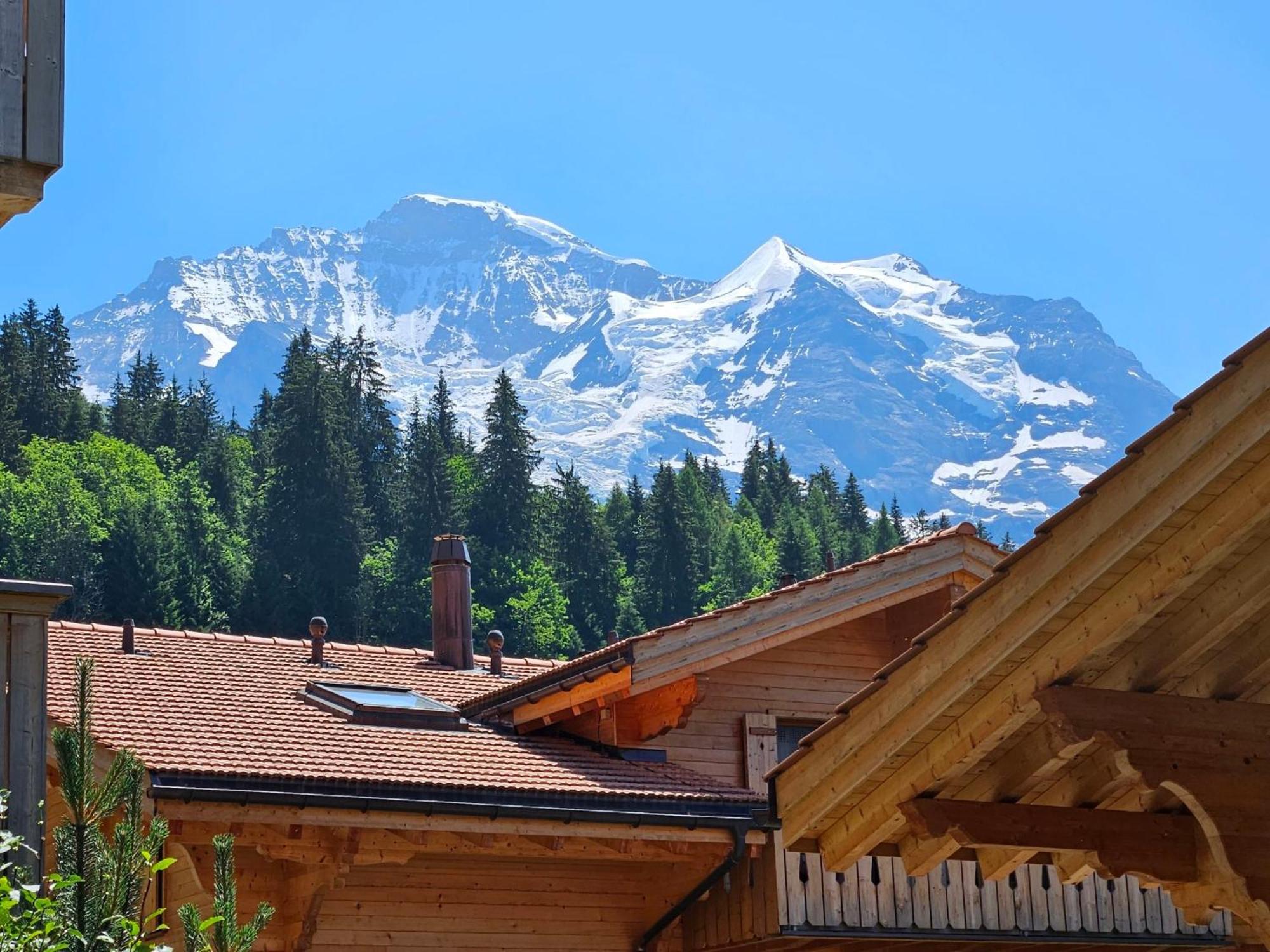 Apartment Panoramapark Soleil Haus D Apt 3 By Interhome Wengen Exteriör bild