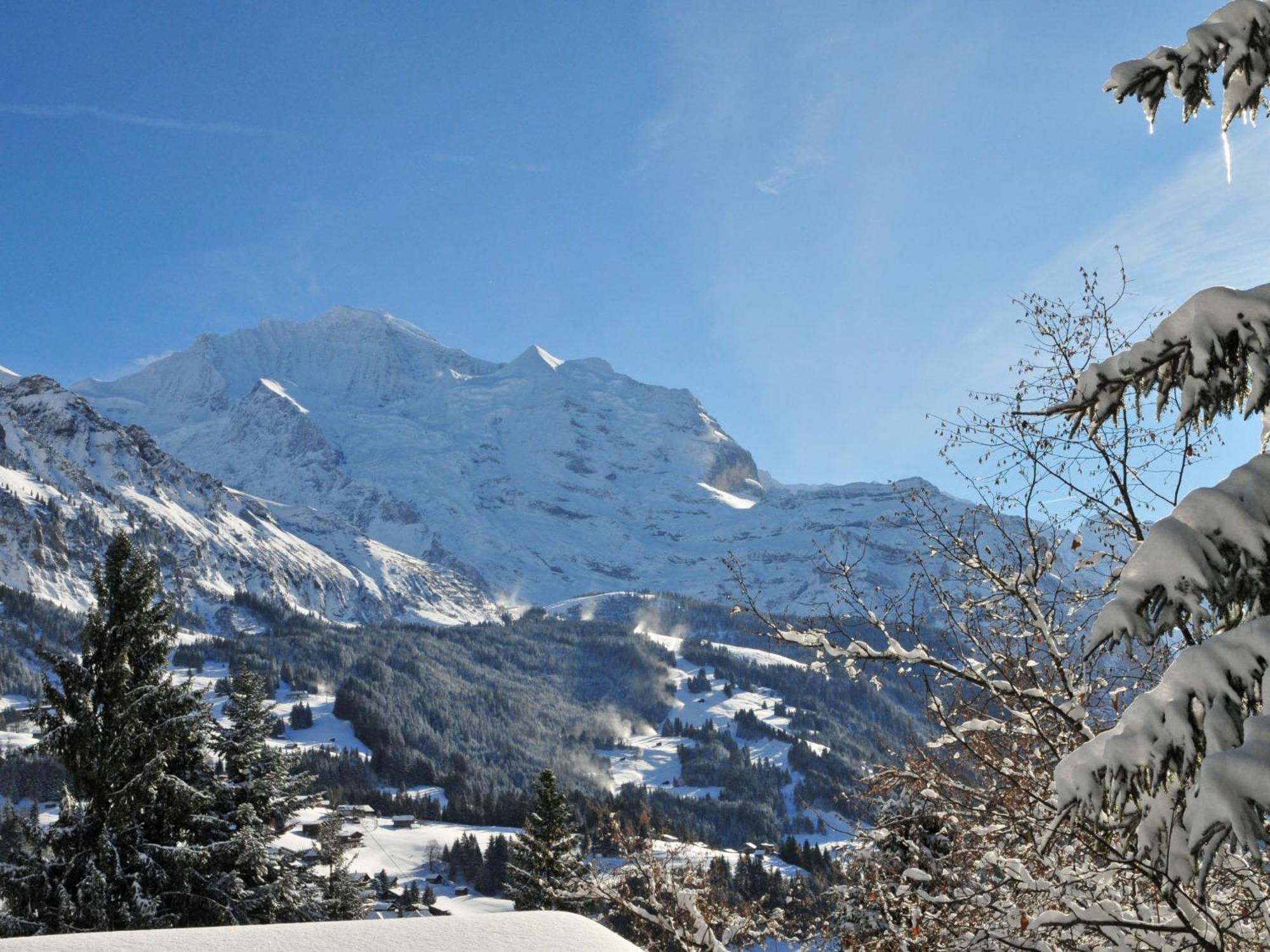 Apartment Panoramapark Soleil Haus D Apt 3 By Interhome Wengen Exteriör bild